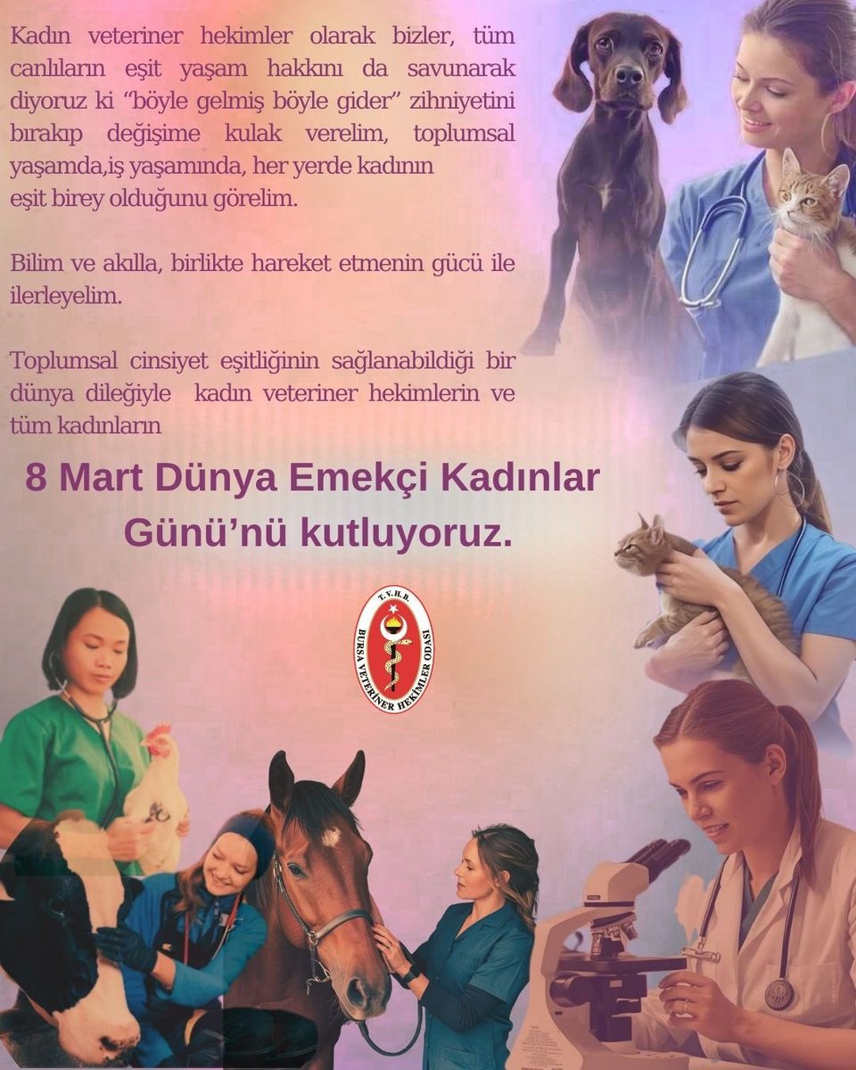 Bursa Veteriner Hekimler Odası tweet media