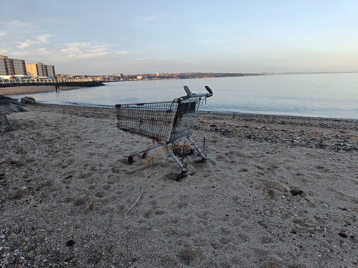 David Morland tweet media