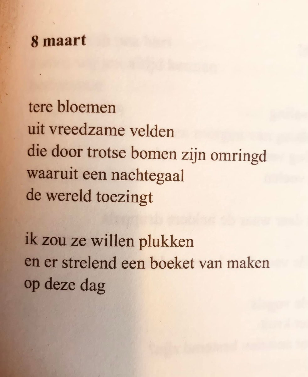 Qader Shafiq قادر شفيق Кадер Шафик tweet media