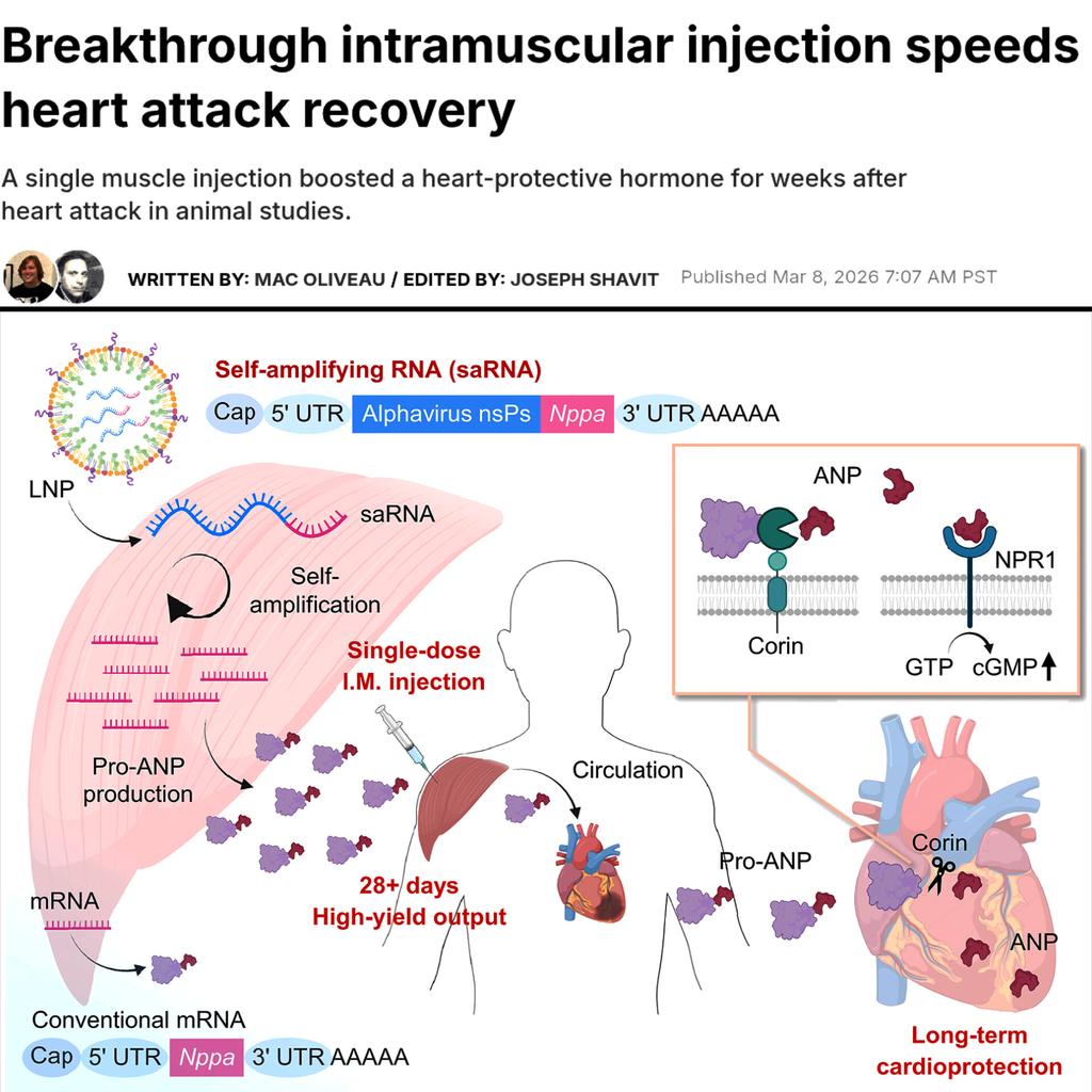 Heart Healing Injection HEART HEALING BREAKTHROUGH: Scientists have developed a new therapy ...