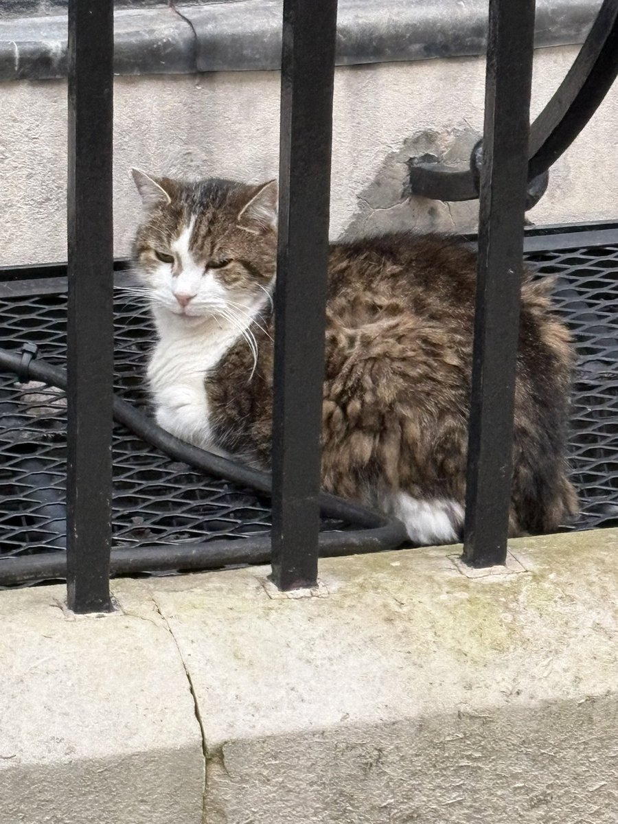 Amanda Akass tweet media