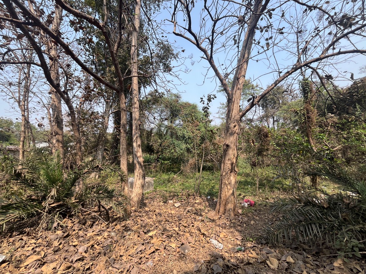 shreshth mohan tweet media