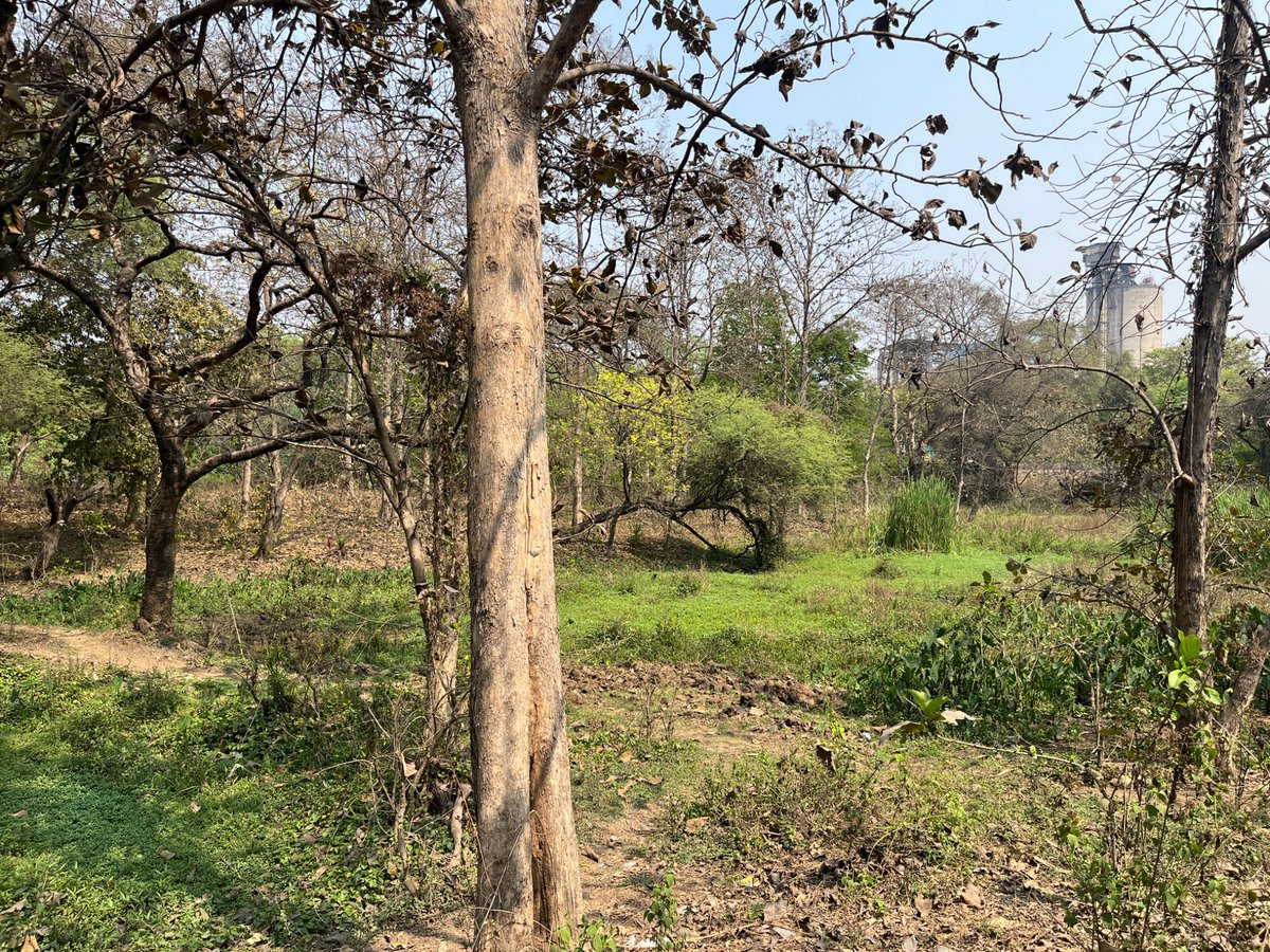 shreshth mohan tweet media