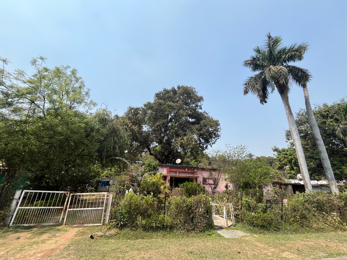 shreshth mohan tweet media