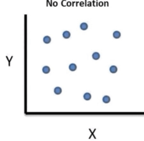 Shiba ☄️ tweet media