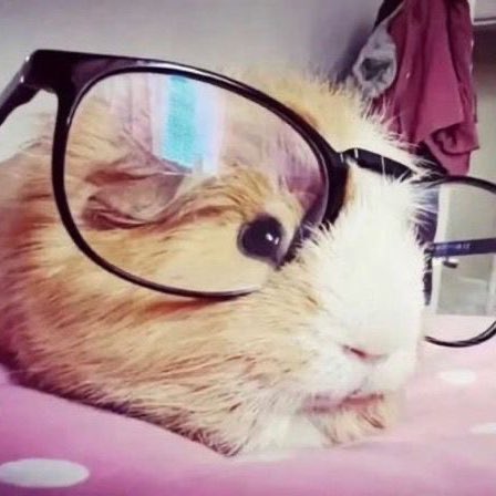 It’s Me ren ᥫ᭡ tweet media