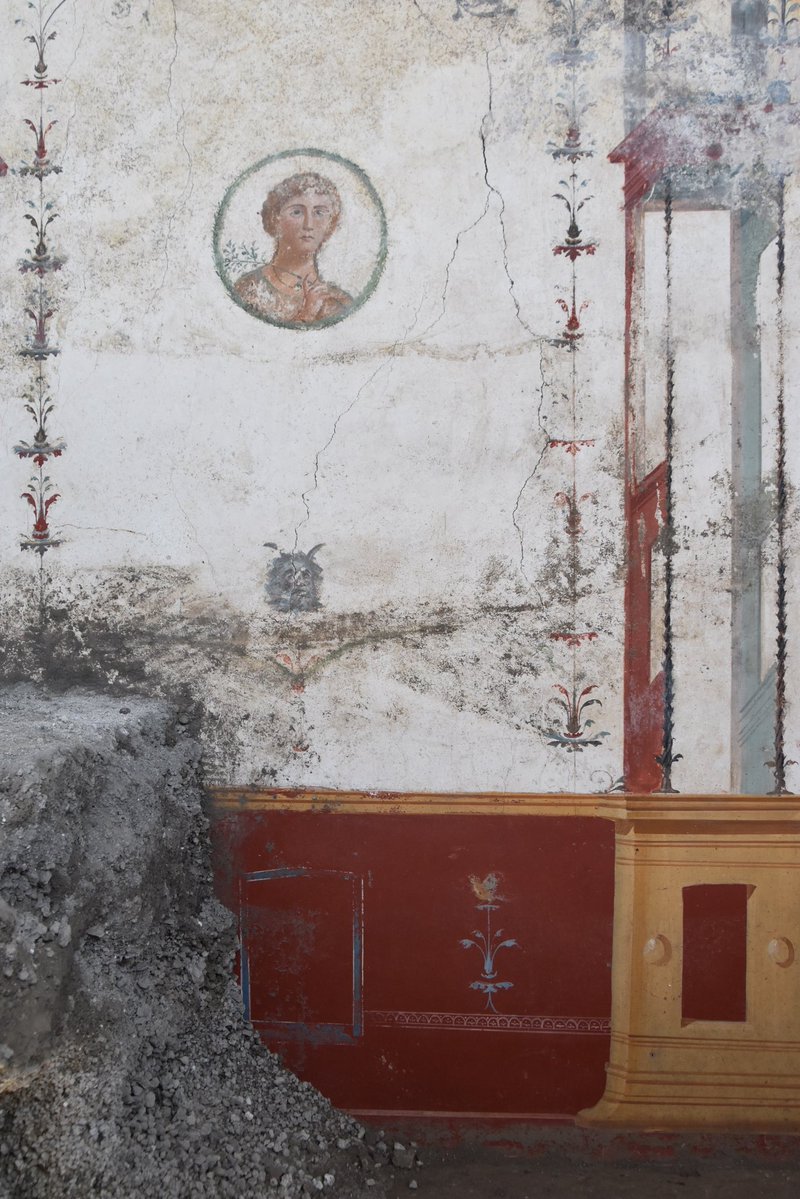 There are many faces of women in frescoes in Pompeii but I remain mesmerised by these two in particular with their unusual blue-grey sclera. They adorned the walls of a small room in the House of Leda, #Pompeii 
 #InternationalWomensDay #IWD2026
