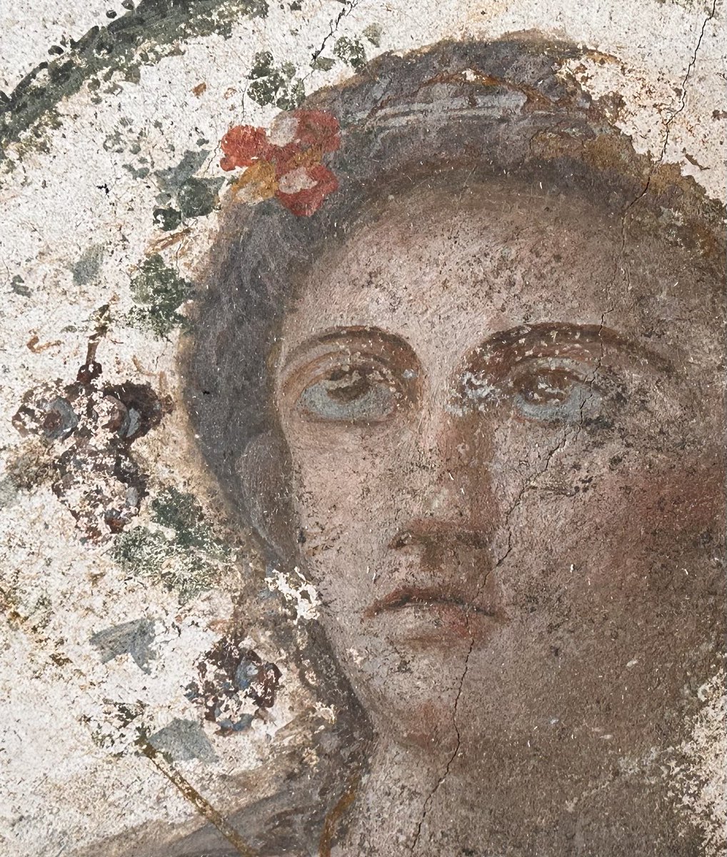 pompei79's tweet image. There are many faces of women in frescoes in Pompeii but I remain mesmerised by these two in particular with their unusual blue-grey sclera. They adorned the walls of a small room in the House of Leda, #Pompeii 
 #InternationalWomensDay #IWD2026