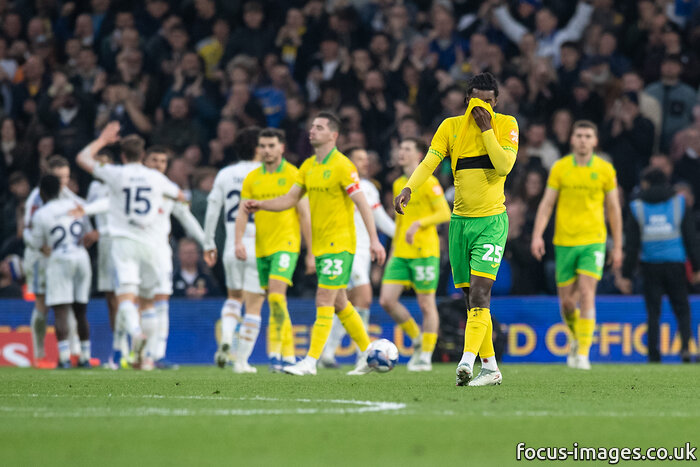 Connor Southwell tweet media