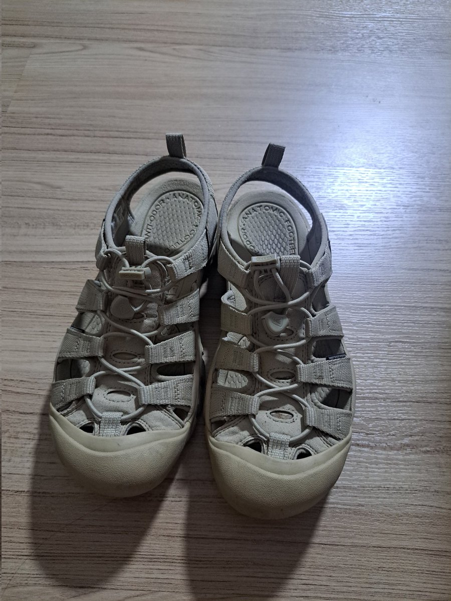 MSmaiPs's tweet photo. ส่งต่อ 🌟
รองเท้า Keen ราคา 1,800 บาท รวมส่ง
ไซส์ 9 US ประมาณ 39 มือเดียวซื้อจากช้อป มีกล่อง สภาพดีมากอาบน้ำขัดตัวน้องก็สวยเลยค่ะ 
#ส่งต่อรองเท้า #รองเท้าkeen #รองเท้ามือสองของแท้ #รองเท้ามือสอง #keenมือสอง #ส่งต่อเสื้อมือสอง https://t.co/c48Wq2cFER