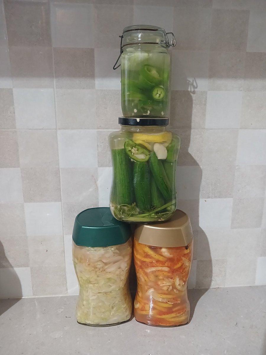 NicheFish45's tweet photo. אני לא היחידה שצריכה להיות מותססת במצב הזה... https://t.co/4iMTdo9yCv
