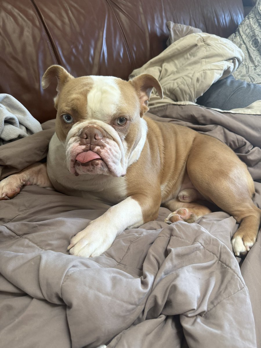 TSS | Jerrick G tweet media