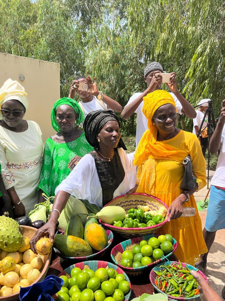 Khady Camara Écoféministe tweet media