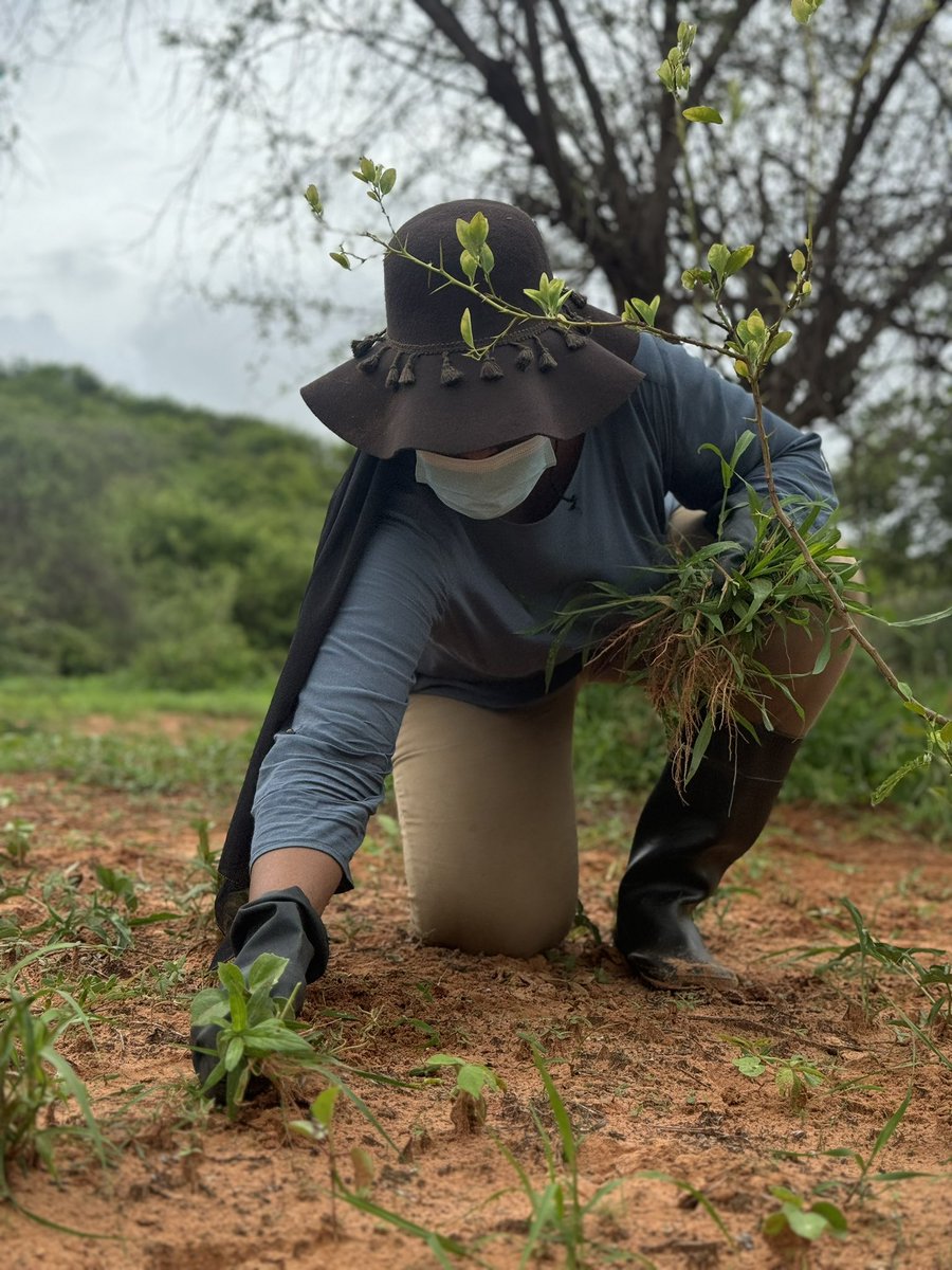 Khady Camara Écoféministe tweet media