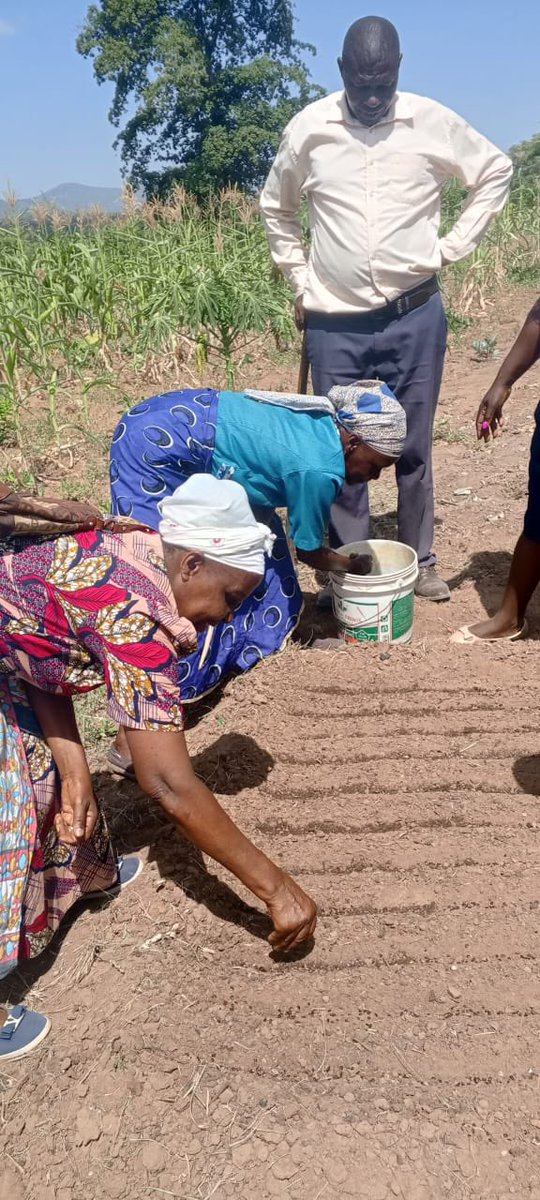 Khady Camara Écoféministe tweet media