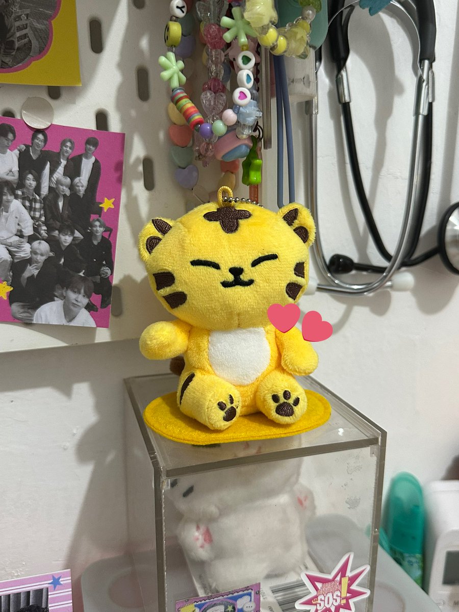 Pocabear๑ᴖ◡ᴖ๑ tweet media
