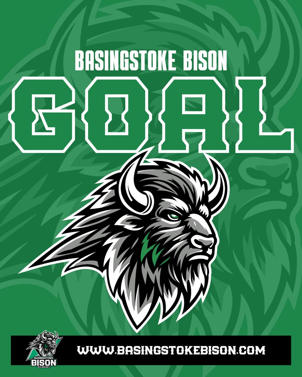 GOALLLLLL BISON🚨🚨

🚨Norcliffe 
🏒Stead 
🏒Milton
1:11

Raiders - 0

Bison - 1