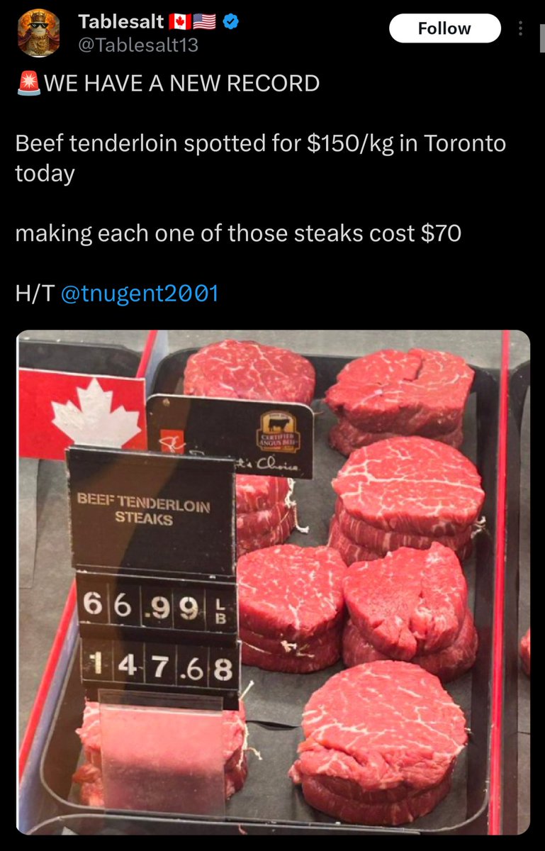 Gator⚡Gum tweet media