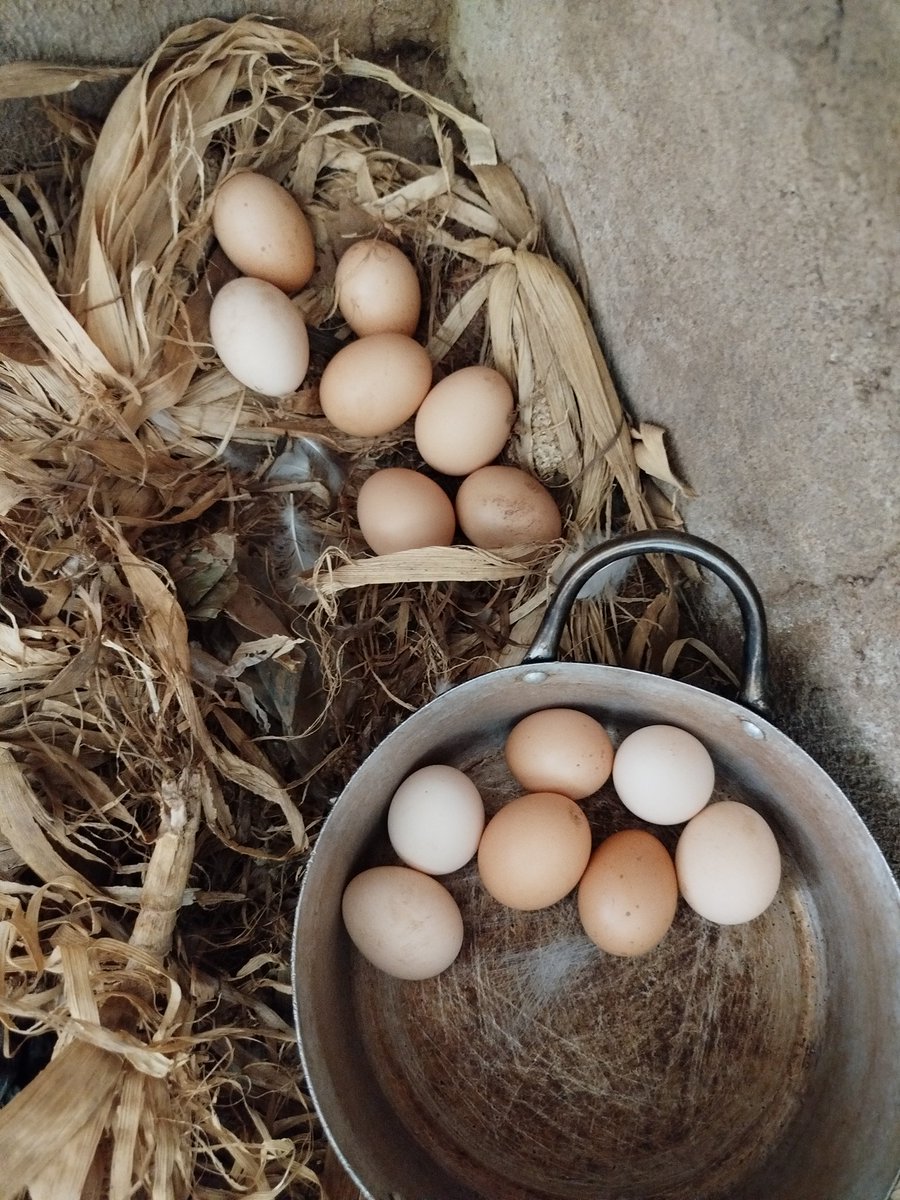 Oyeniran Michael tweet media