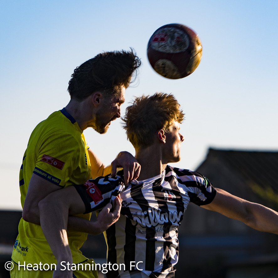 StanSnaps tweet media