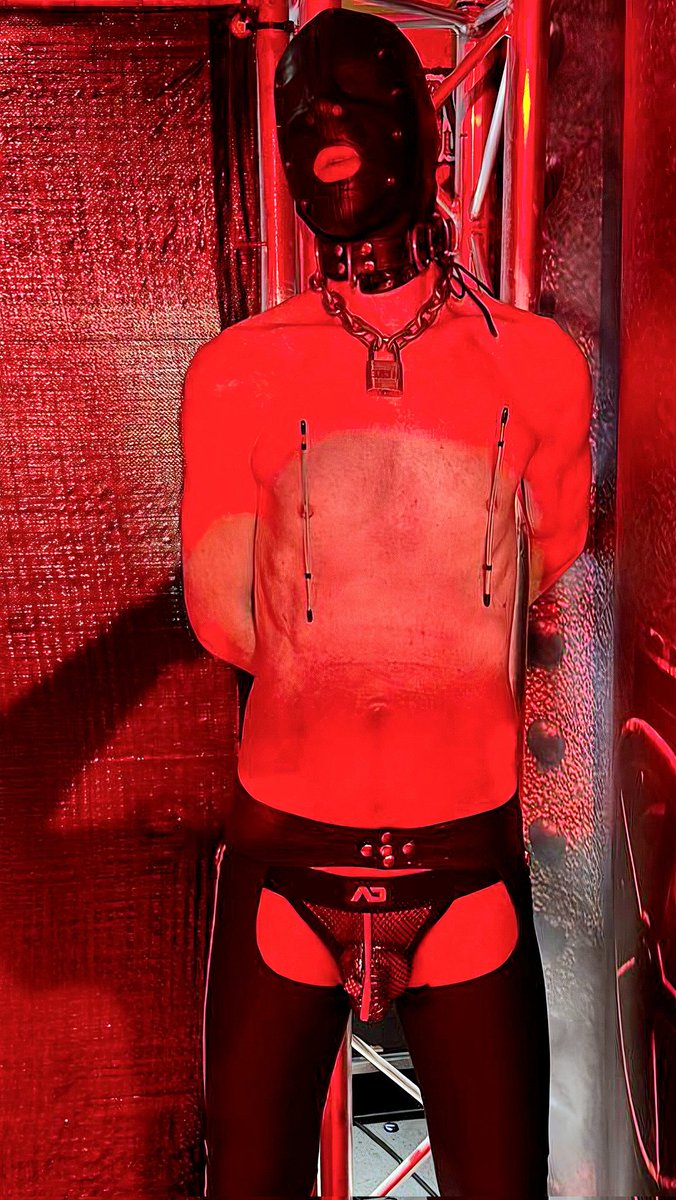 Subslaf (6K) 🔜 Darklands 🔜 Easter Berlin tweet media