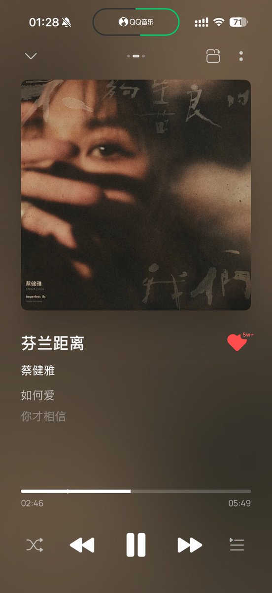 好多猫（长沙 tweet media