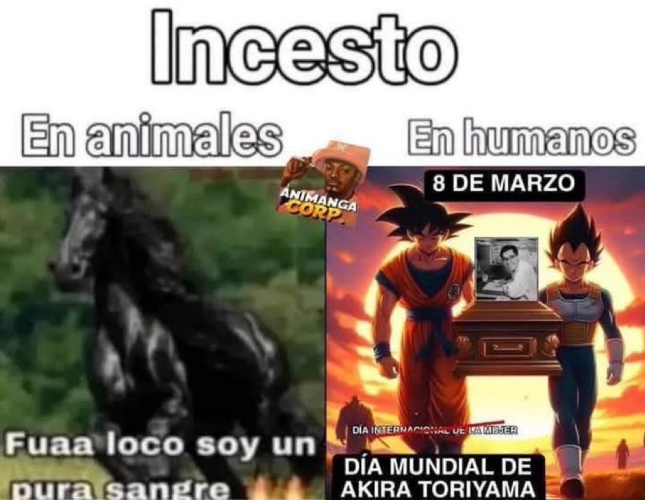 susie (@susietecnologia) on Twitter photo 