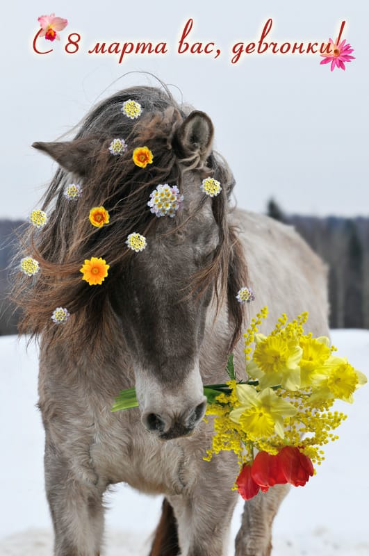 equus.am tweet media