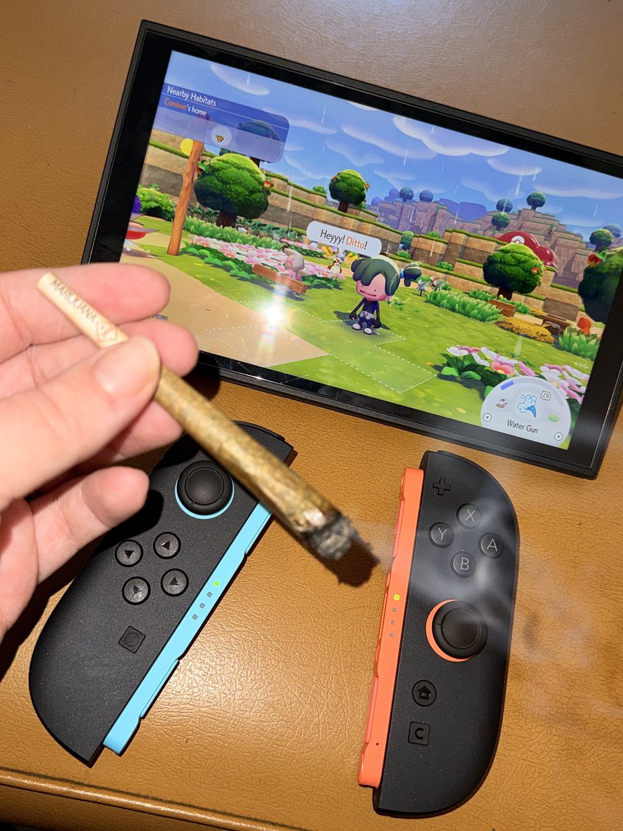 haley 🍃 tweet media