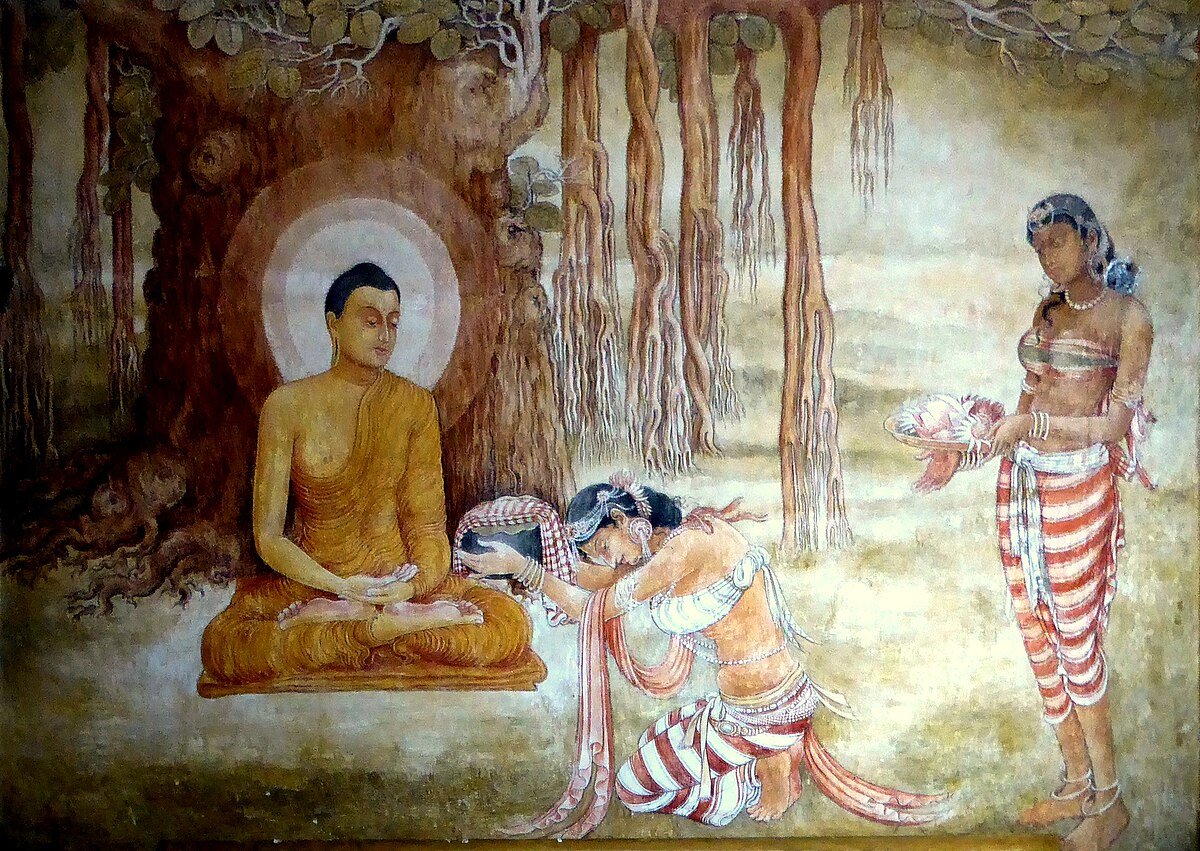 DAILY DOSE OF DHAMMA tweet media