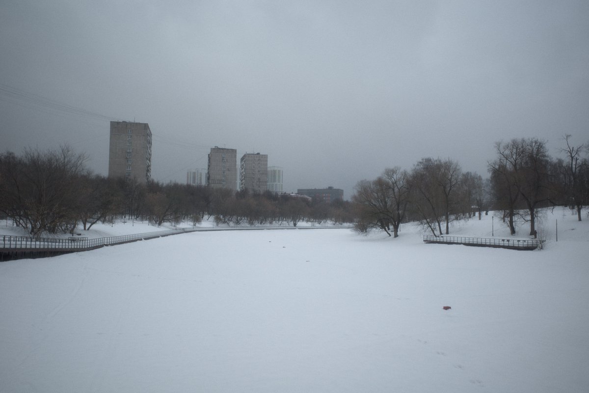 defocusd tweet media