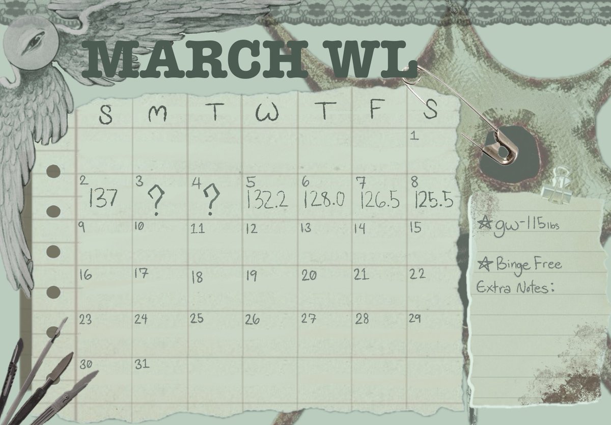 S1mpleSurv1val's tweet photo. ⋆˚☆˖°⋆｡Weight Loss Thread✮˖ ࣪ ⊹⋆.˚ https://t.co/AMmvd8p1ep