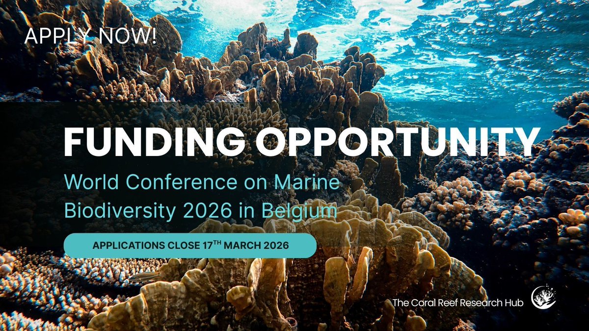 The Coral Reef Research Hub tweet media