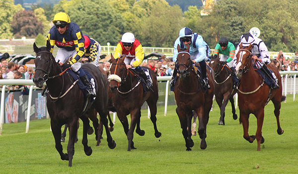 Ownaracehorse's tweet photo. Last chance to enter our FREE Cheltenham Competition - https://t.co/F1FWoJ1JWF https://t.co/VKLfYSh8X9