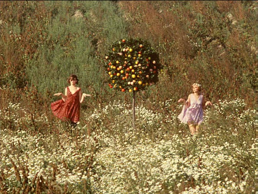 We exist! We exist! We exist! 
#VěraChytilová 

Sedmikrásky (Věra Chytilová, 1966).