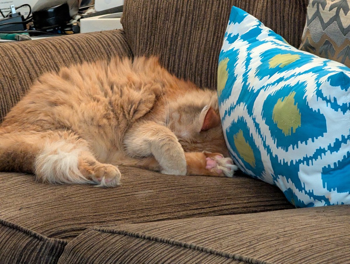 TortsIllustrated tweet media