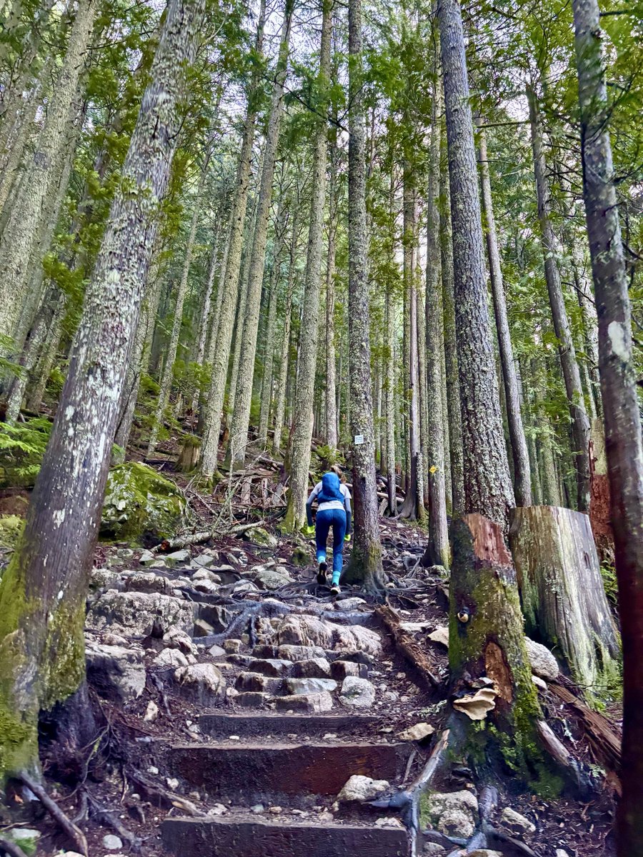 𝐓𝐨𝐧𝐲 tweet media