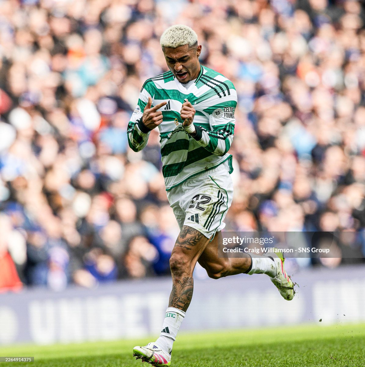 Hoidy tweet media