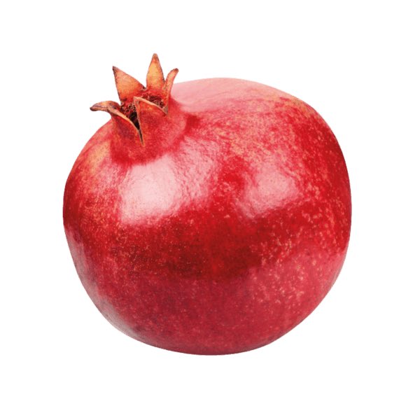 I realized I hadnt shared my ponysona on twt 👏🏻👏🏻👏🏻
(Her name is episara)
#mlp #mlpfanart