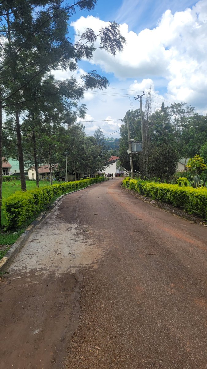 NOGA Official tweet media