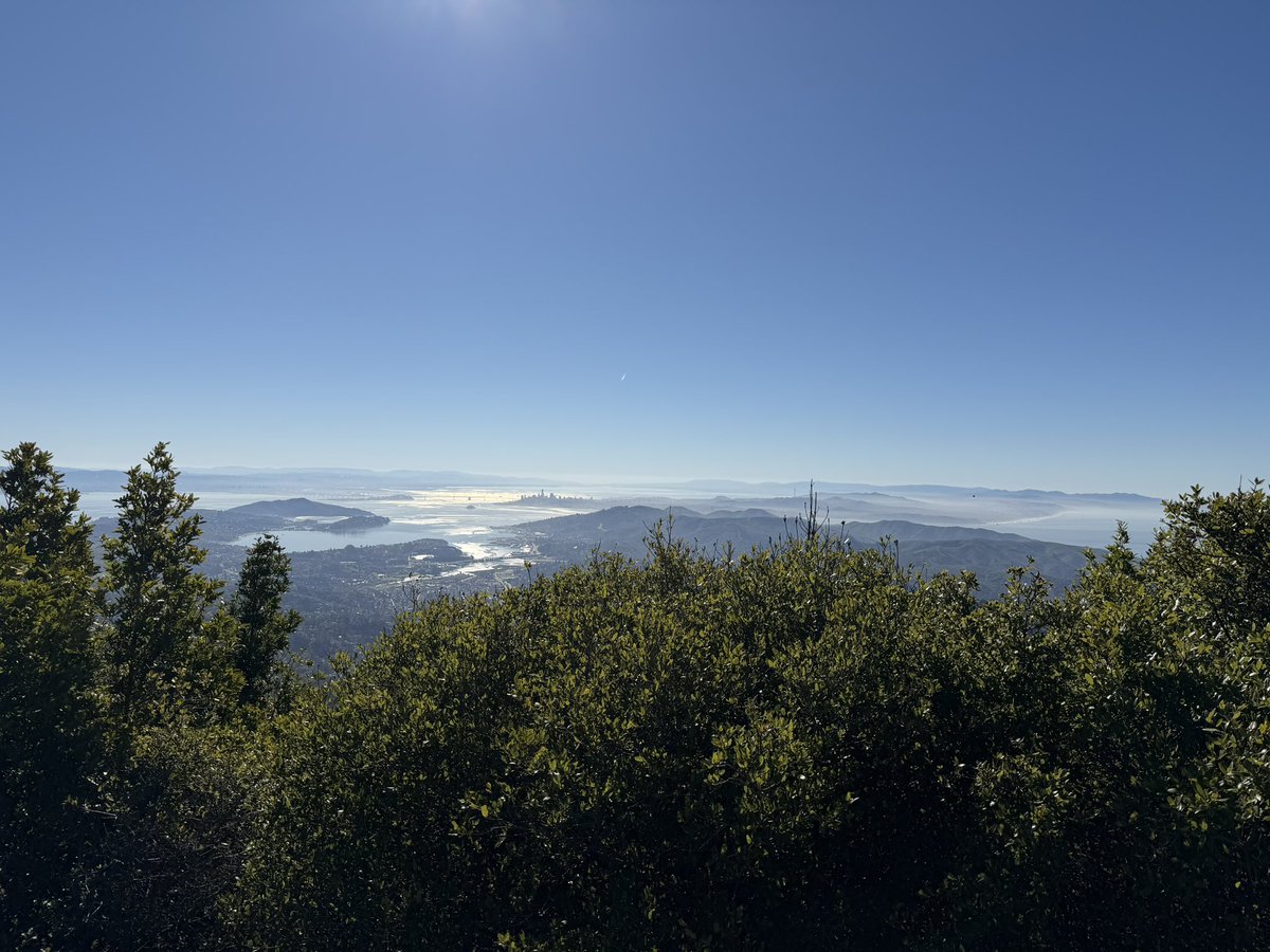 Max Levchin tweet media