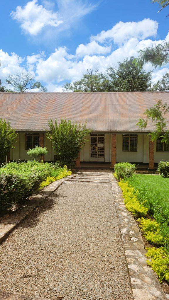 NOGA Official tweet media