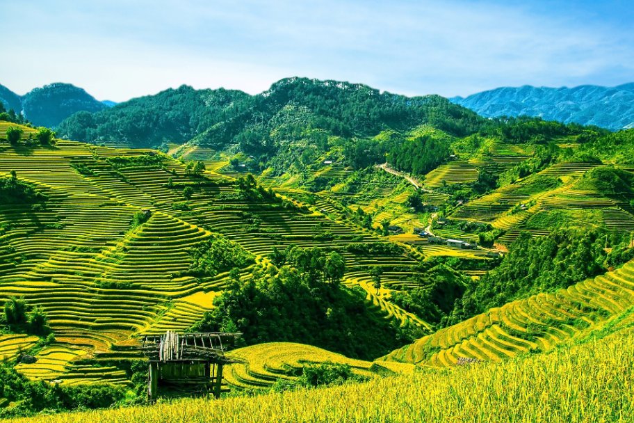 WanderLust1280's tweet image. We are counting down the Top 50 Travel Experiences that every traveler should have before they die.  Learn about travel experiences 31-40 on my list.   wanderlustphotosblog.com/2019/03/13/top…

#TravelGoals #Wanderlust #BucketList #TravelExperiences #ExploreTheWorld #AdventureAwaits