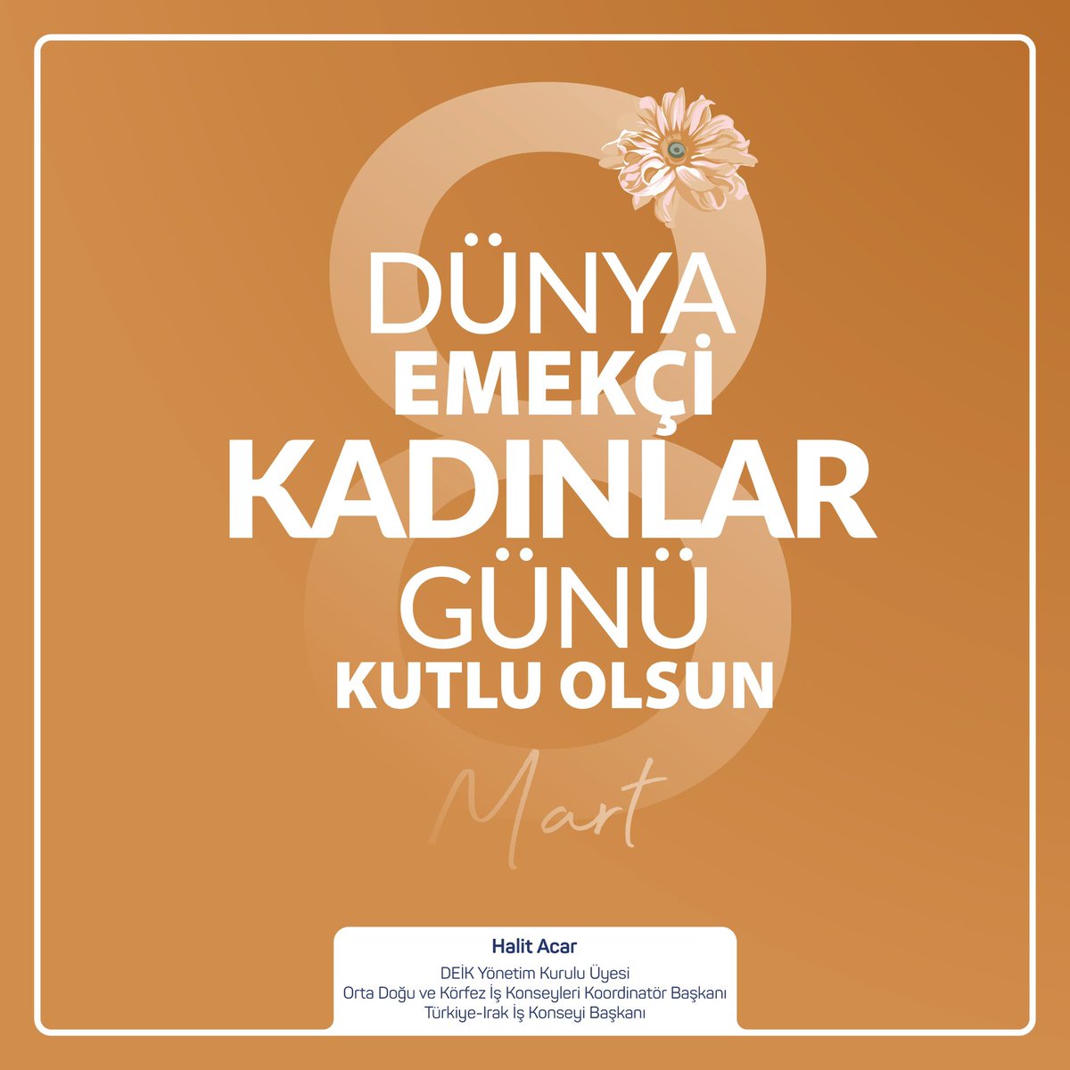 Halit Acar tweet media