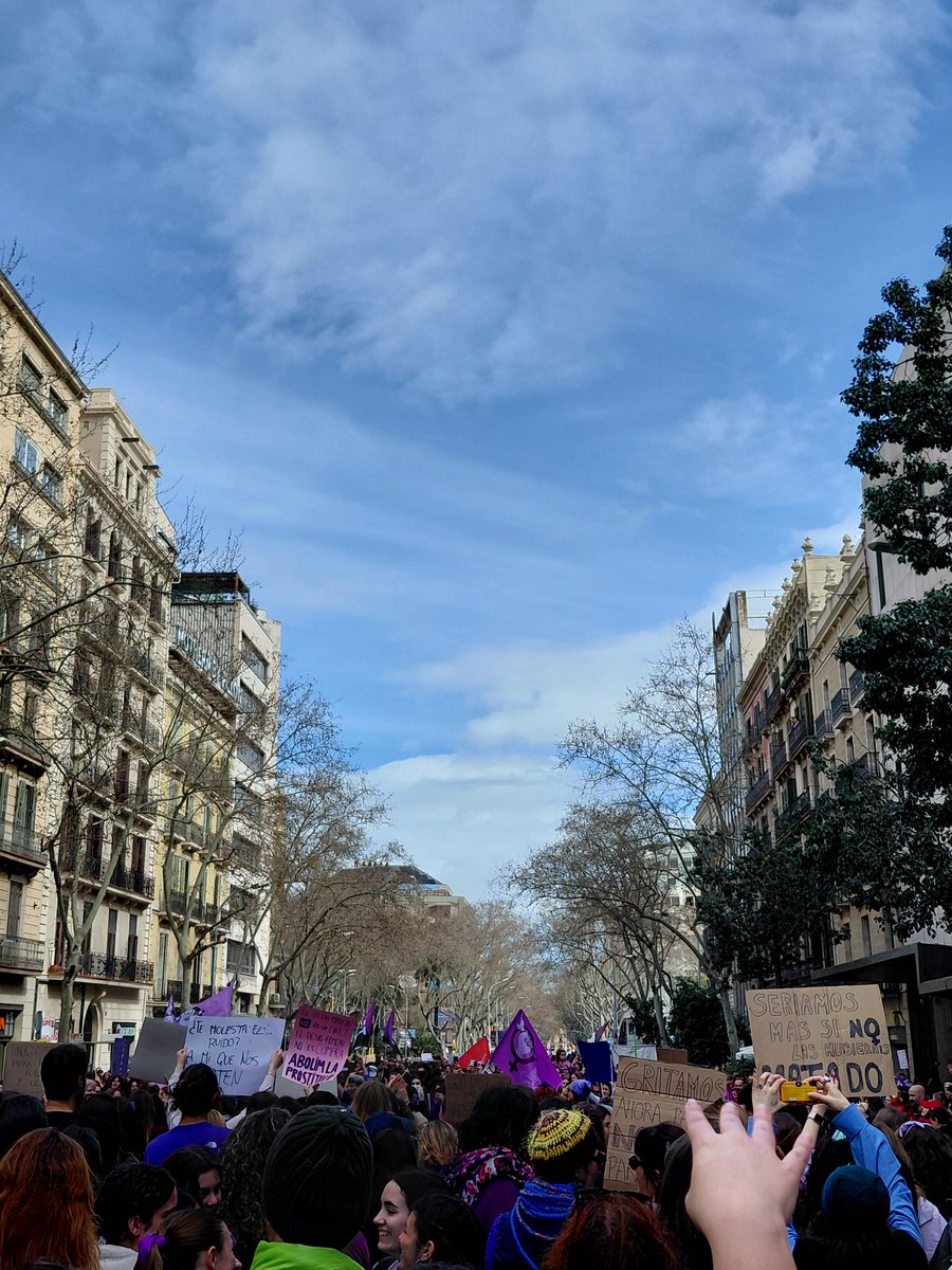 Juditaxe's tweet photo. sense totes, la lluita no funciona 💜 https://t.co/zoUQklit6Q