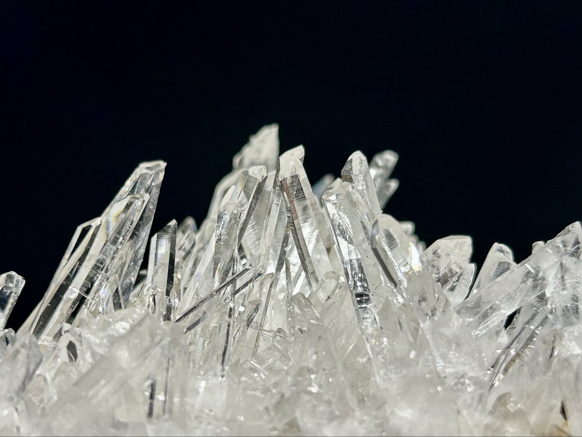 【自然遊撃隊】こうへい⛏️ tweet media