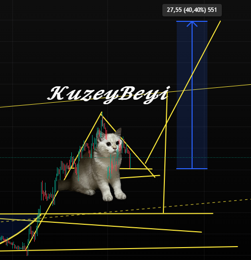 Bunu gözaltına alalım.. Eğer liste yaparsam @borsajest için  oraya yazarım 
#bist100