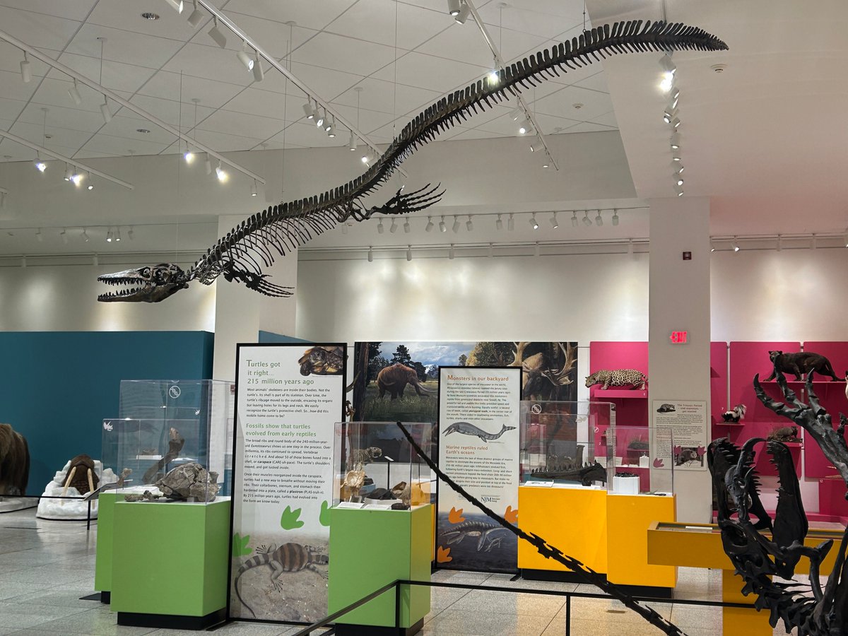 New Jersey State Museum tweet media