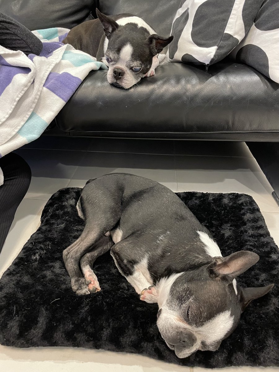 Shigetsu Takayama tweet media