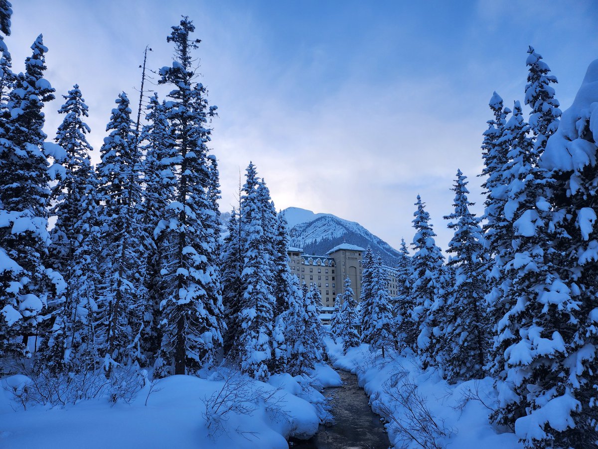 💚CHU💙 tweet media